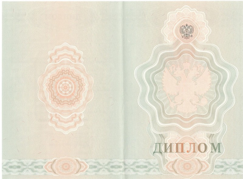 Купить Диплом о начальном образовании 2007-2009 годов в Барнауле Купить Диплом о начальном образовании 2007-2009 годов в Барнауле