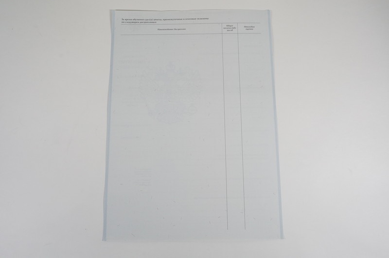 Диплом о начальном образовании 2007-2009 годов в Барнауле Диплом о начальном образовании 2007-2009 годов в Барнауле